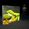 2250 x 1500mm Lightbox display featuring a green lizard - right view