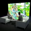 3000 x 2250mm Lightbox display featuring a tiger. In front are people sitting on chairs